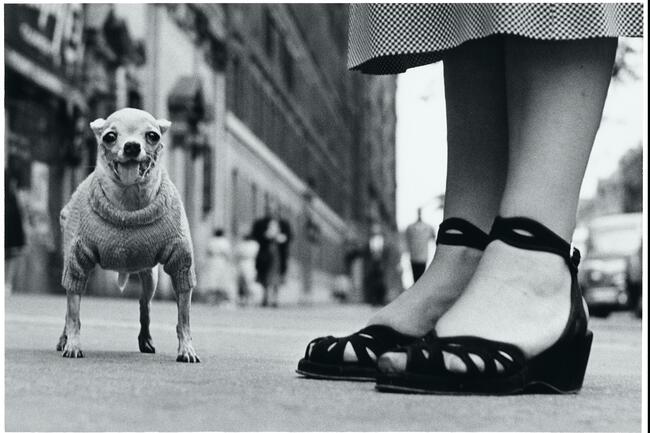 Leica Hall of Fame Award 2023 - Elliott Erwitt | Leica Camera AG