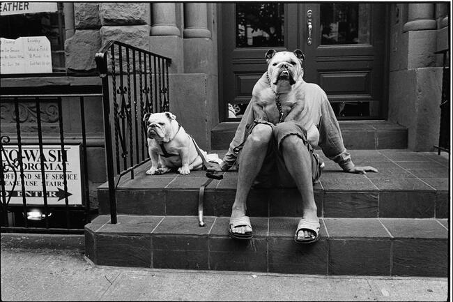 09_new_york_city_usa_2000_c_elliott_erwitt_magnum_photos_.jpg