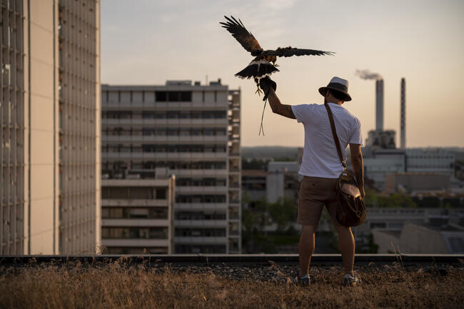 Dirk Wetzel steht auf einem Dach mit einem Falken auf der Hand.