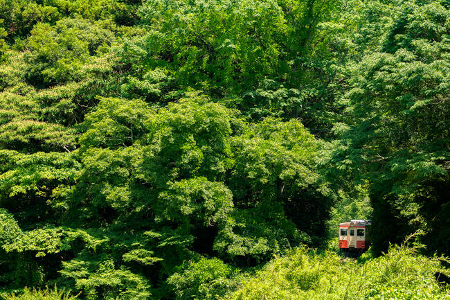 Seiya Nakai Photo Exhibition Held in Kyoto