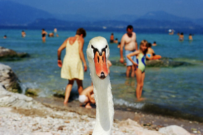 Lake-Garda--Italy--1999.jpg