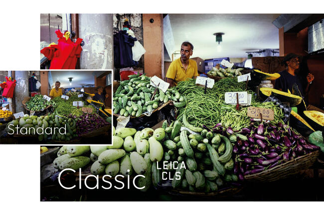 Market stand with vegetables