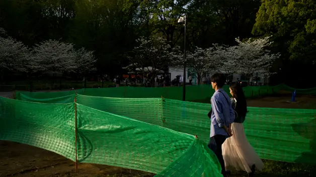 A couple walks along a path bordered by greenery towards a festival