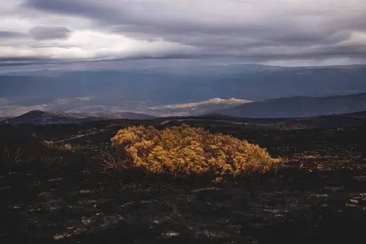 Remote landscape in Spain’s España Vacía, with scorched terrain, golden shrubs and distant mountains beneath dramatic storm clouds.