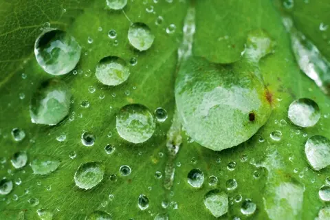 APO-MACRO-ELMARIT-TL 60/F2.8 ASPH.