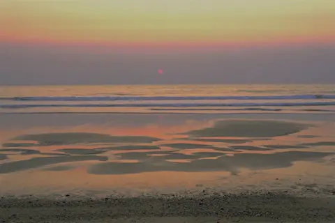 Dami exposition galerie Leica Paris par SMITH