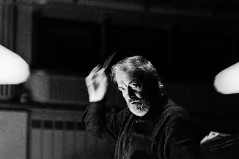 Male conductor