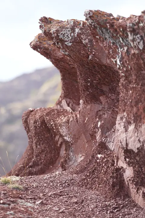 Red rocks of the Maritime Alps