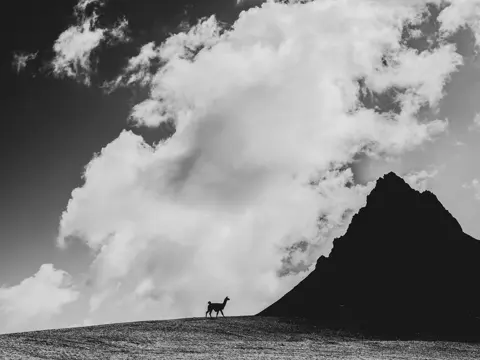 Musuk Nolte Leica Latin America Awards