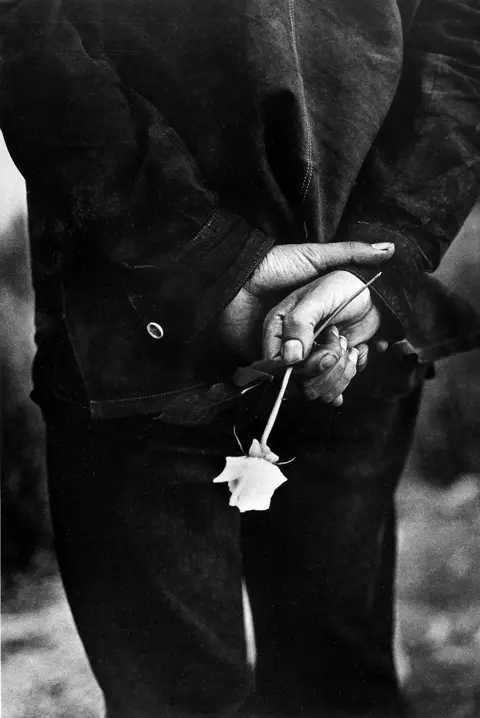 hands holding a white rose b&w