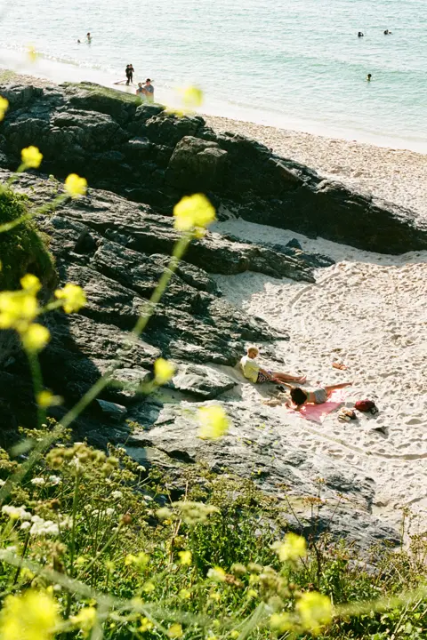 Colour of a British sea side with yellow flowers in the foreground 