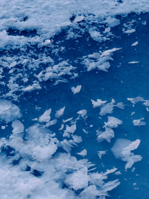 Ice crystals scattered across a frozen blue surface.