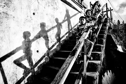 shadows black and white