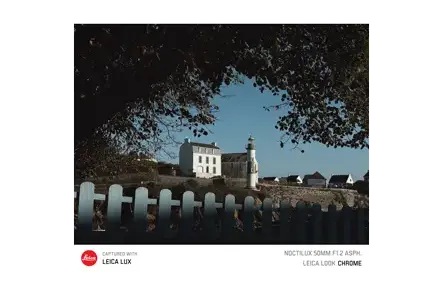 Lighthouse photographed through a tree