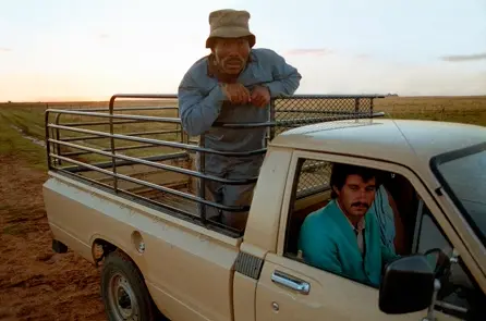 person on and in truck