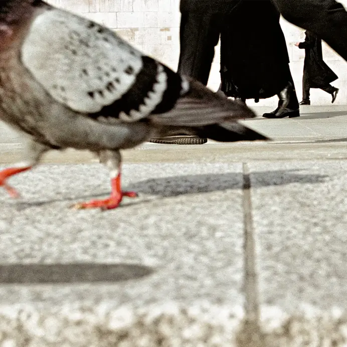 Workshop „London Street Photography“ - Matt Stuart, Leica Akademie UK