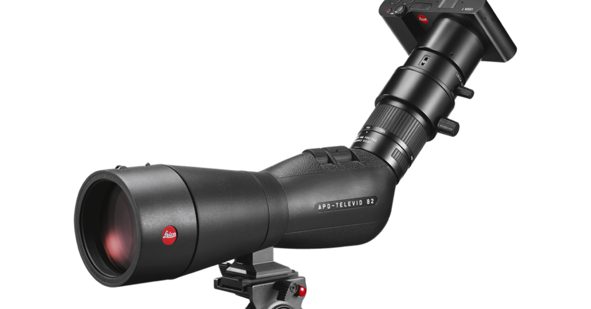 Leica Digiscoping Spotting Scopes Experience Nature Leica Camera US