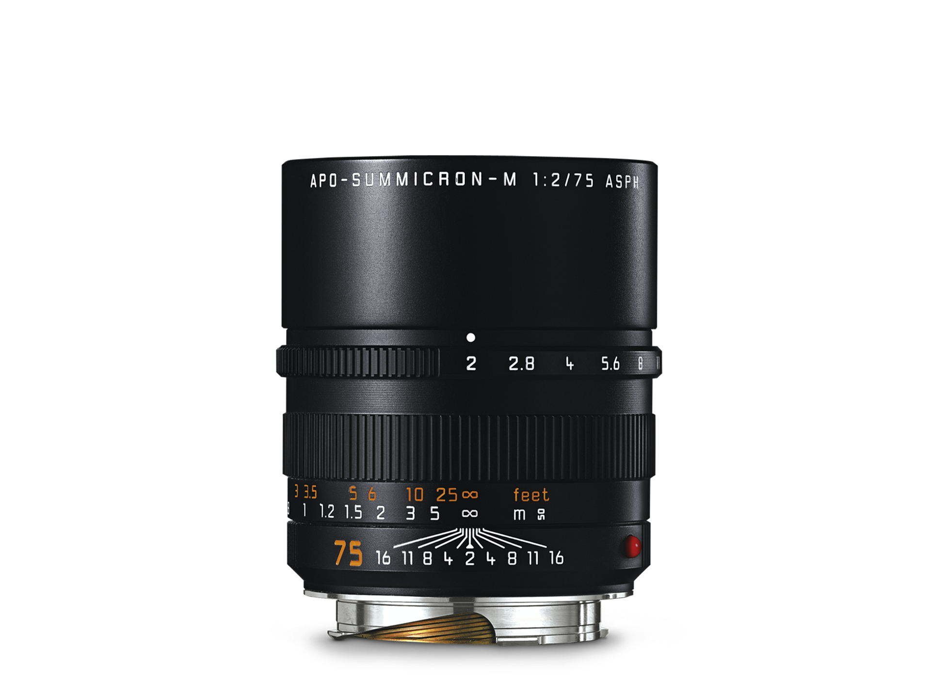 APO-Summicron-M 75 f/2 ASPH. | Leica Camera UK