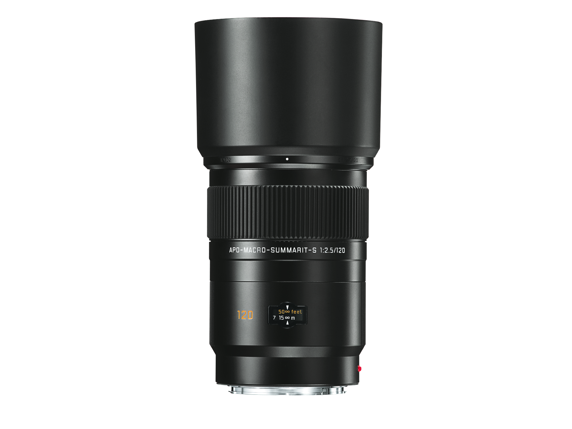 pm-17981-