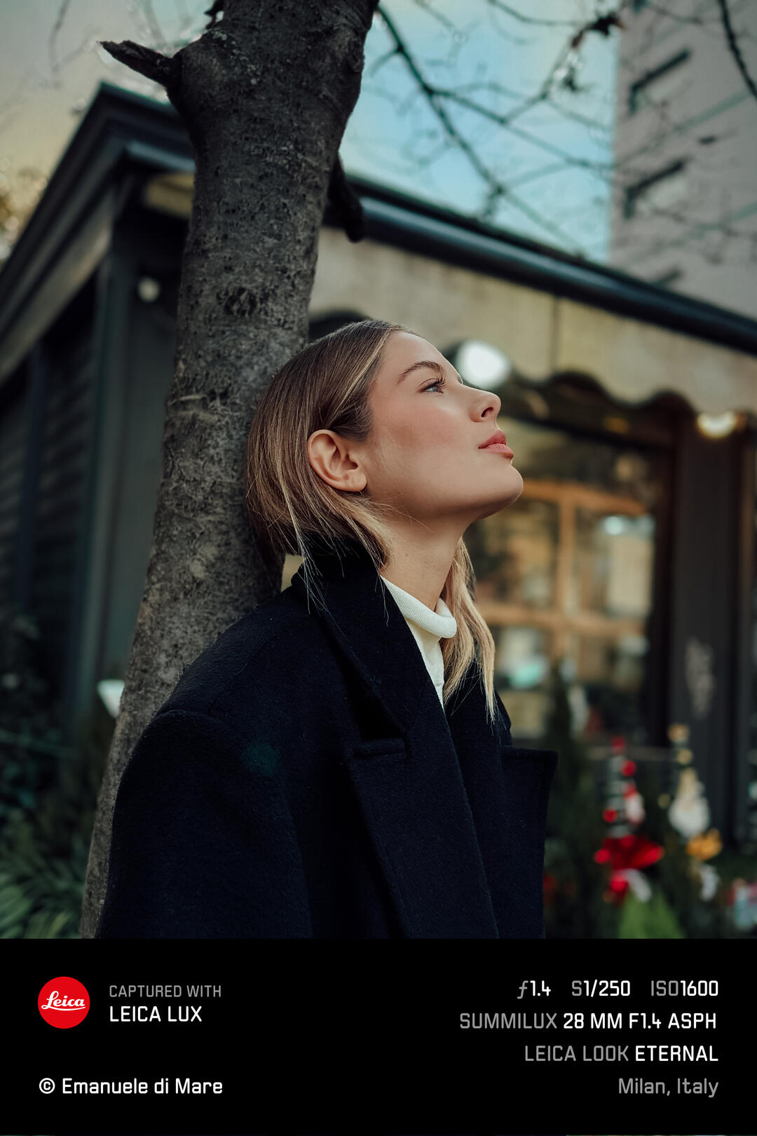 Woman posing on a tree