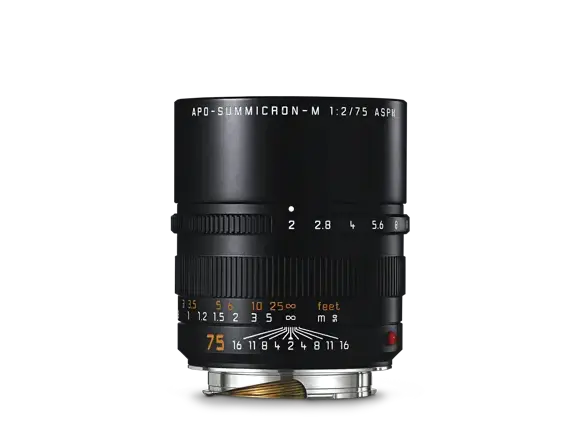 apo-summicron-m_f2_75_front_black_2016_300.png