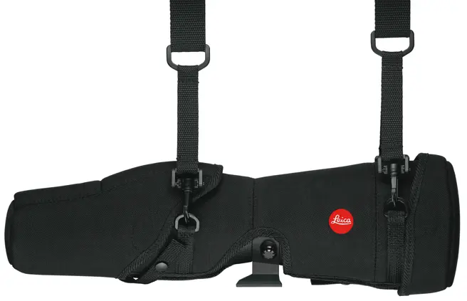 case___strap_straight1572723f969b9b.jpg