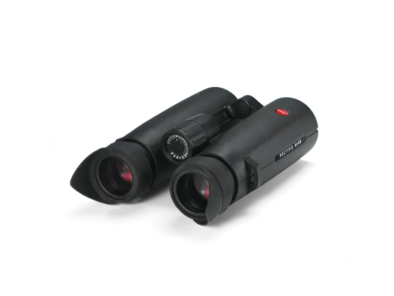 Rubber_winged eyecaps_42006-42067_1920x1440px_sRGB_1.png