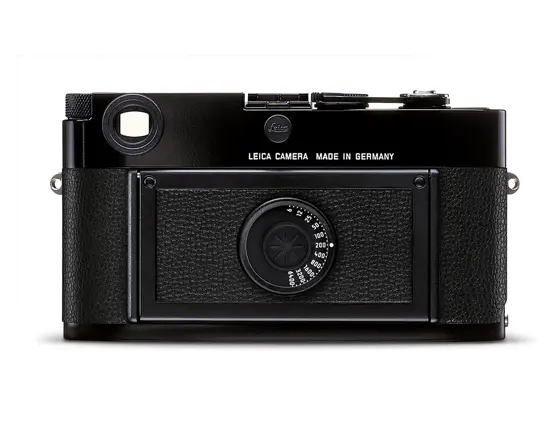 MP-black_back_10302.jpg