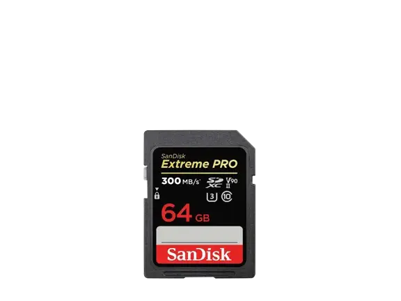 SANDISK-ExtremePro-300MBs-SDHC-64GB_8686HW992934.png