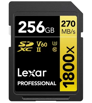 professional-sdxc256-1800x-r-270mb-s-w-180mb-s-c10.jpeg