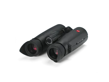 Rubber_winged eyecaps_42006-42067_1920x1440px_sRGB_1.png