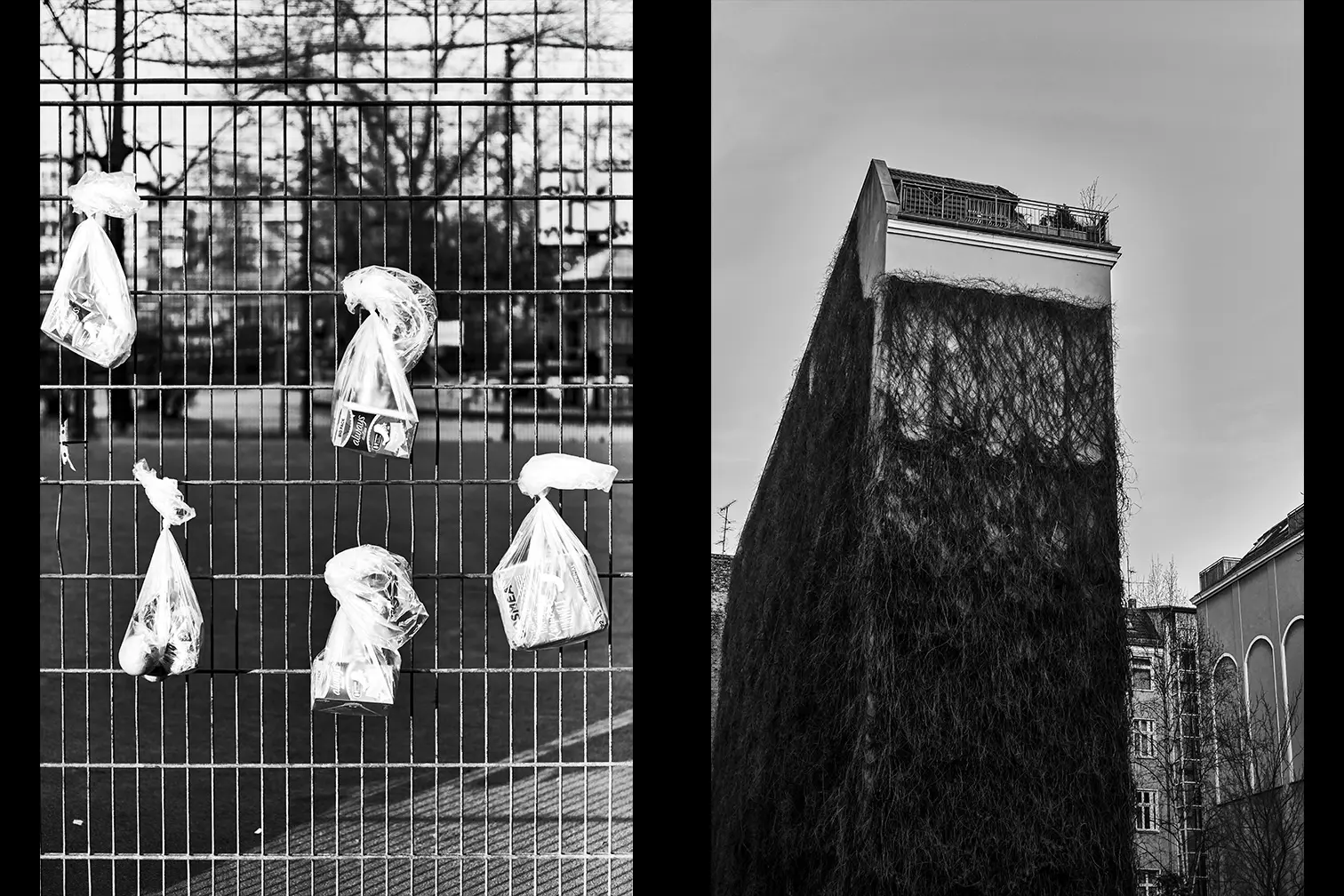 Julia Baier - Slide 6