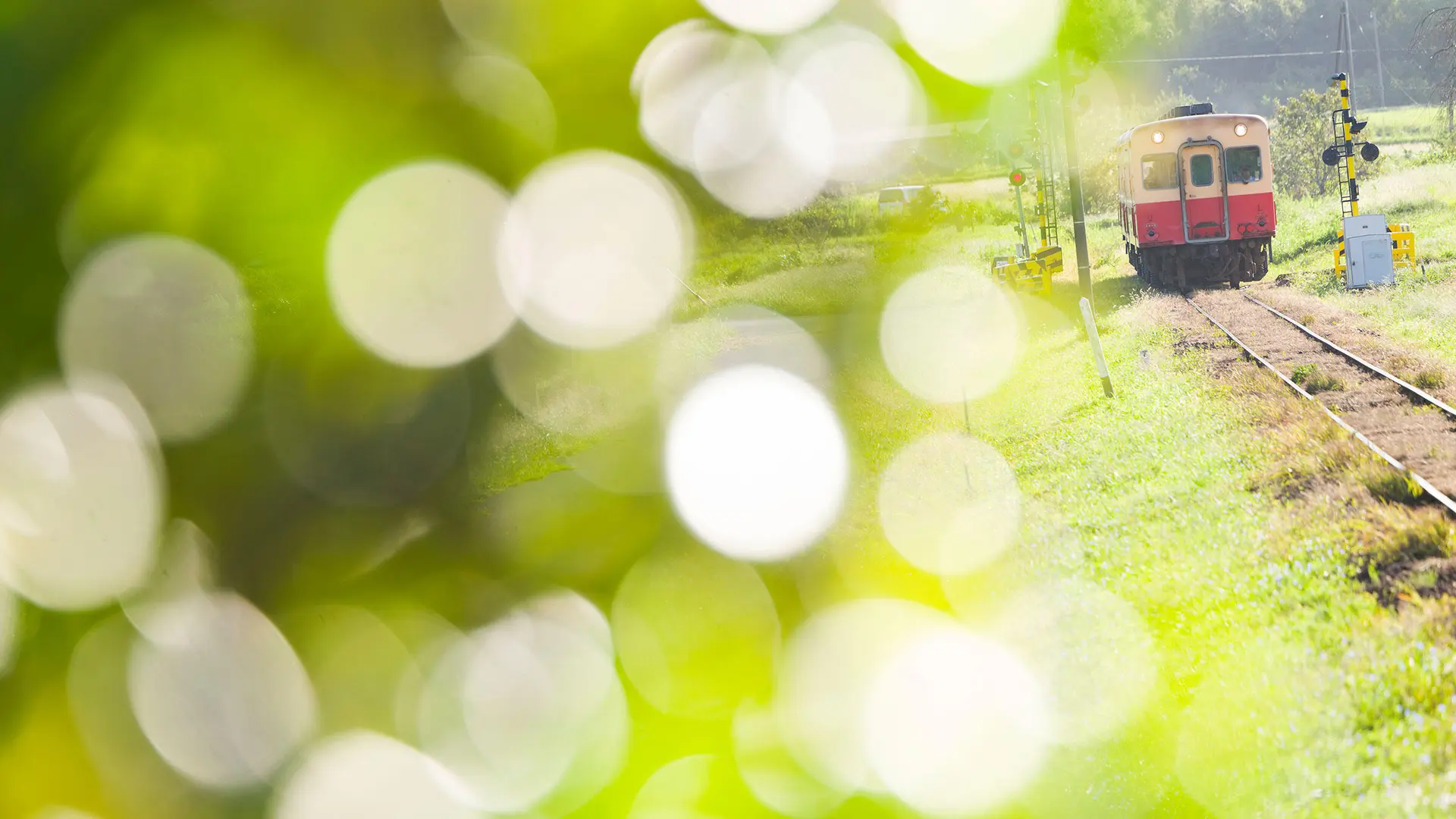 Seiya-Nakai_landscape_2400-x-1350_teaser-2400x1350.jpg