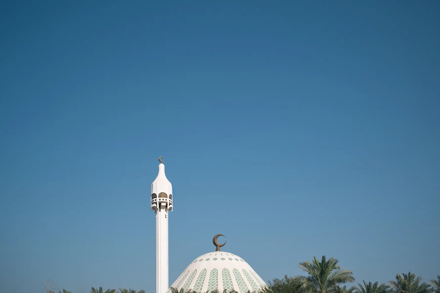 m11_alsayer_gallery_04.jpg