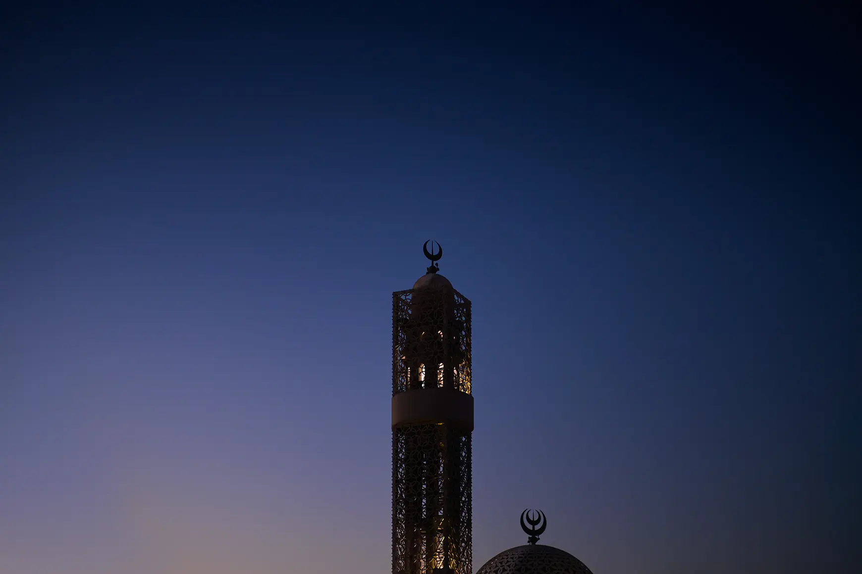 m11_alsayer_gallery_06.jpg