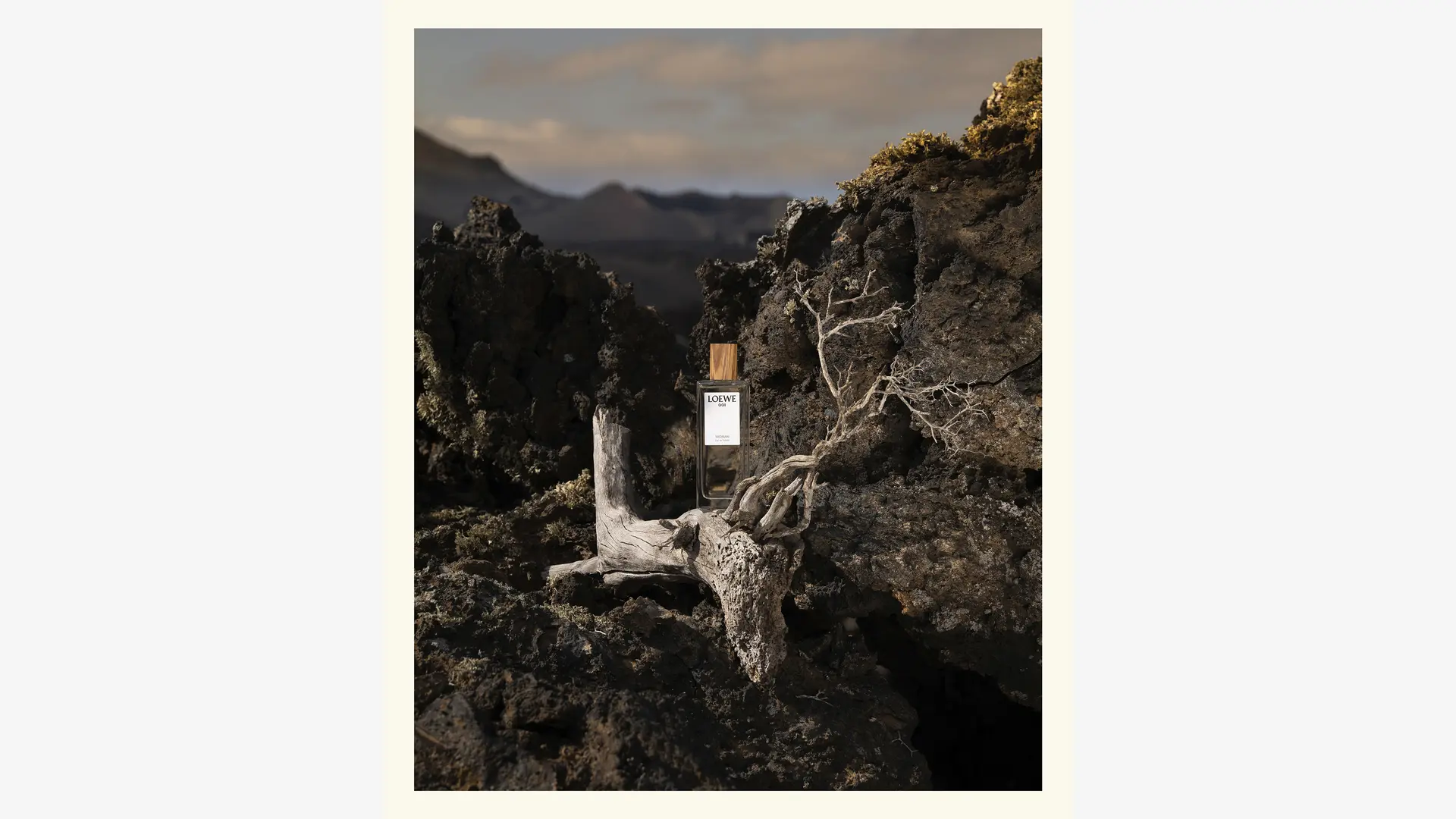 Fabien Voileau