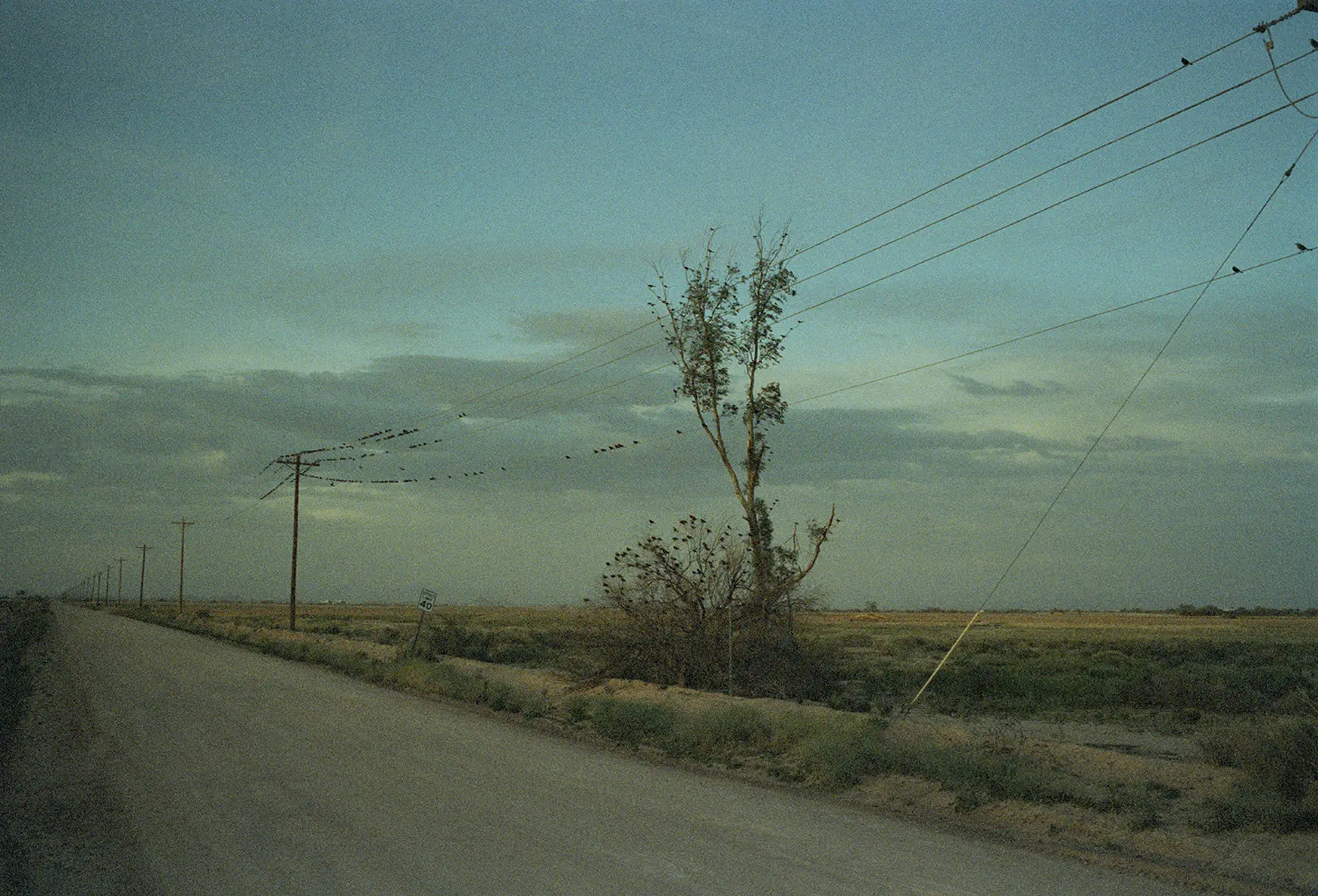Matt Wilson
