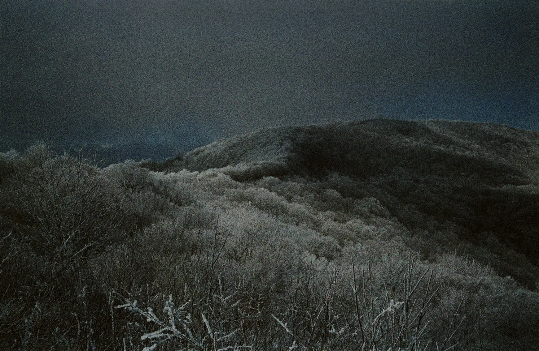 Matt Wilson