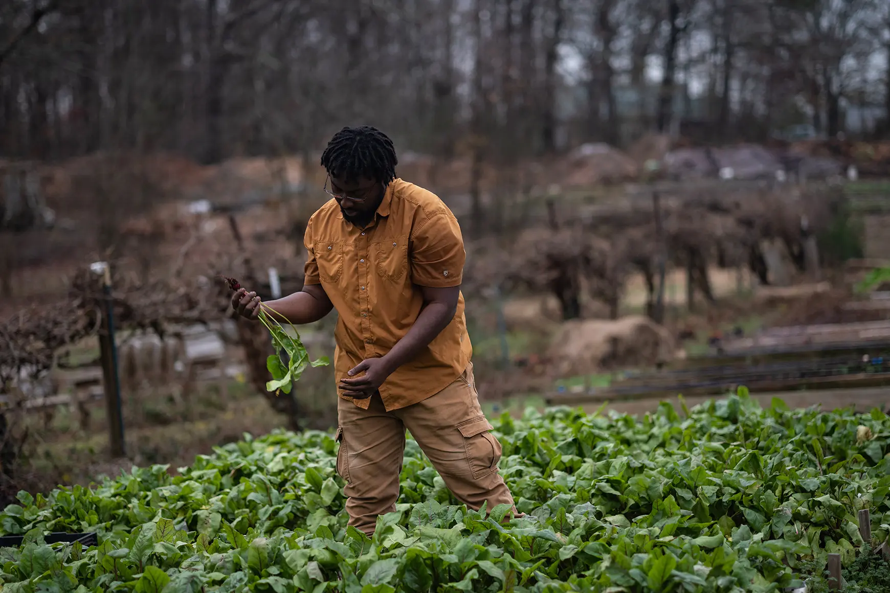 sheila-pree-bright_sl2_atlanta-harvest_5.jpg