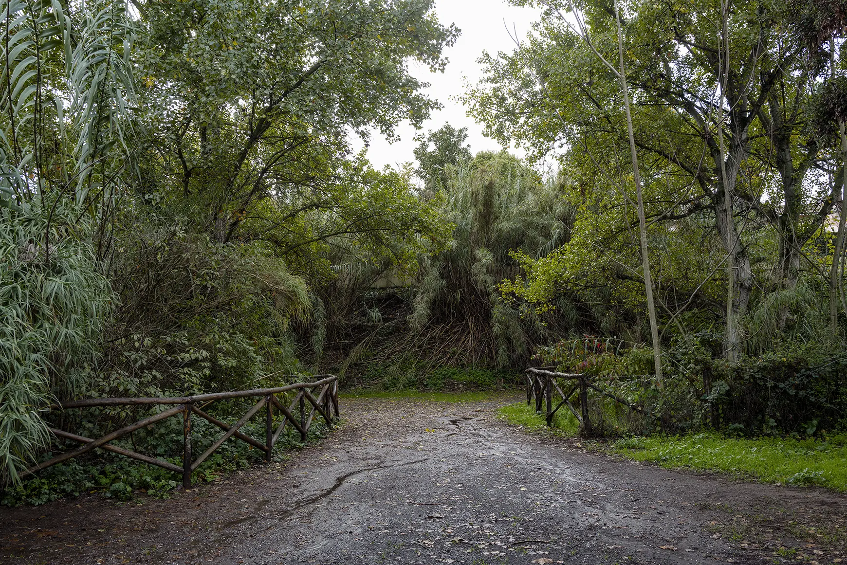 parco_della_fotografiacsimona_filippini.jpg