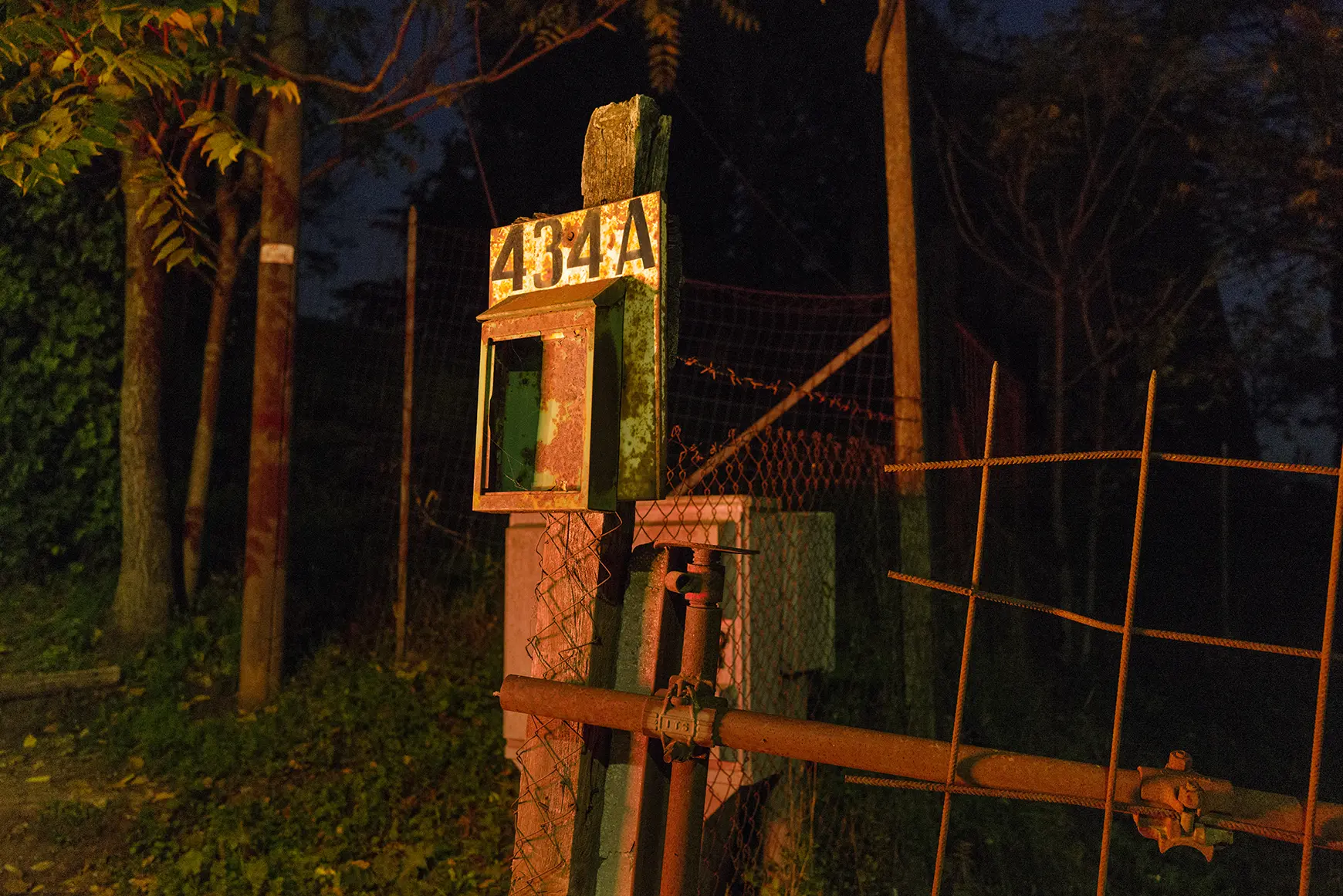 via_della_fotografia_1_parco_della_fotografiacsimona_filippini.jpg