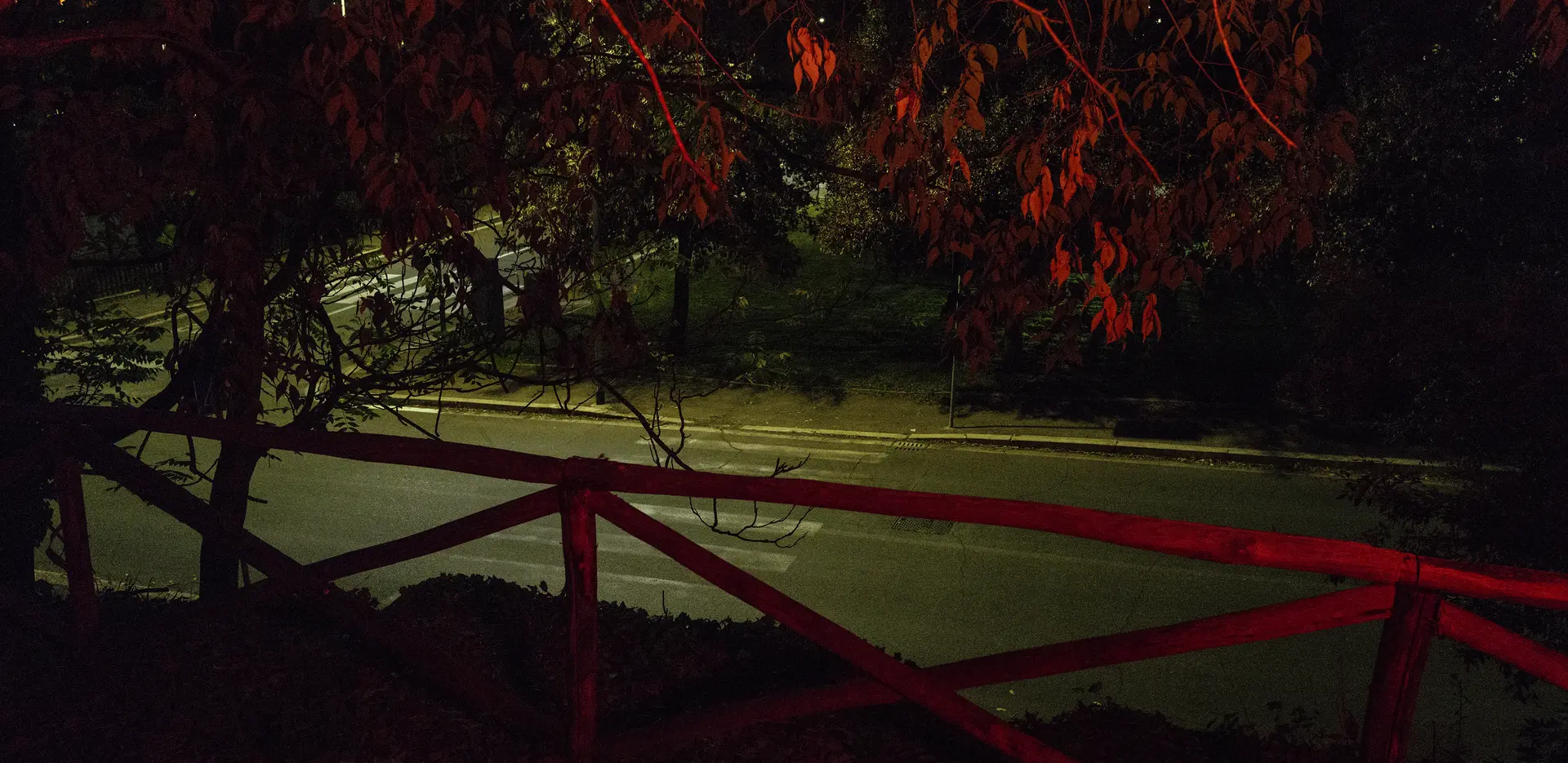 via_della_fotografia_parco_della_fotografiacsimona_filippini.jpg