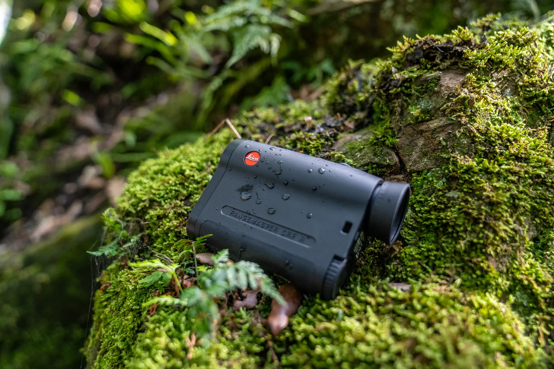 leica_crf-r_dsc02351_rgb.jpg
