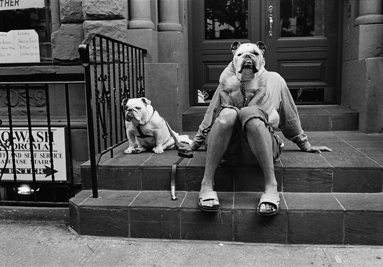 Two dogs sitting in front of a house, one dog is sitting on the lap of a lady.