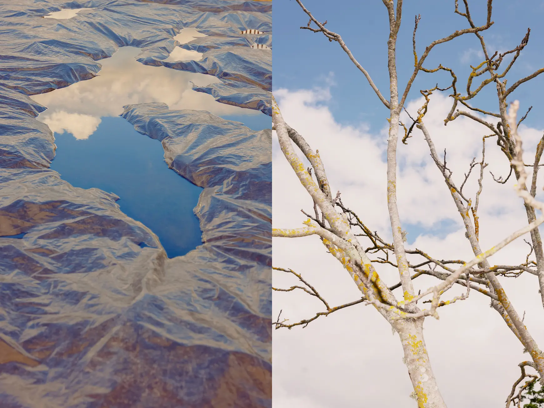puddle blue cloud and tree branches