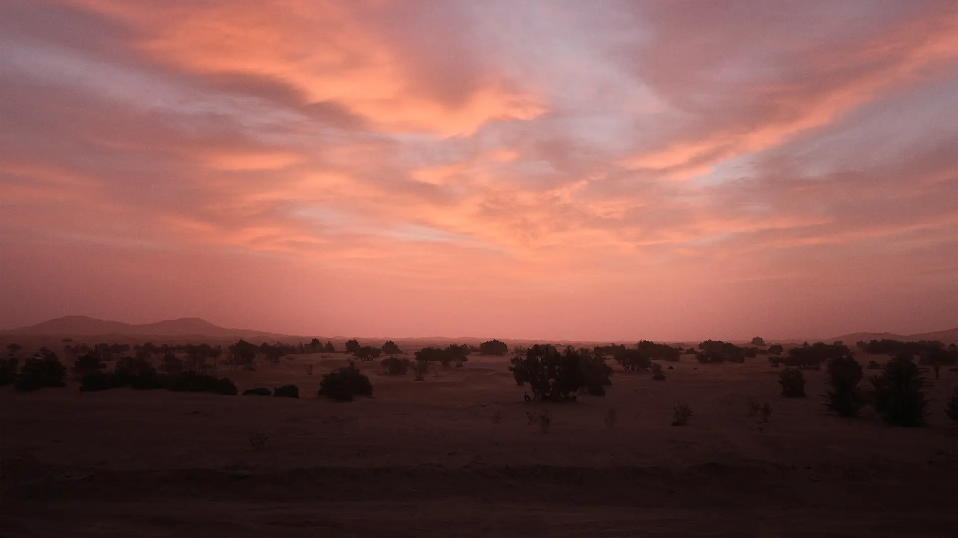 Marco Fisher with SL3 in Morocco purple Sky