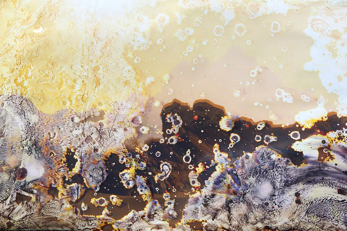 Alice Pallot La Gacilly 2024