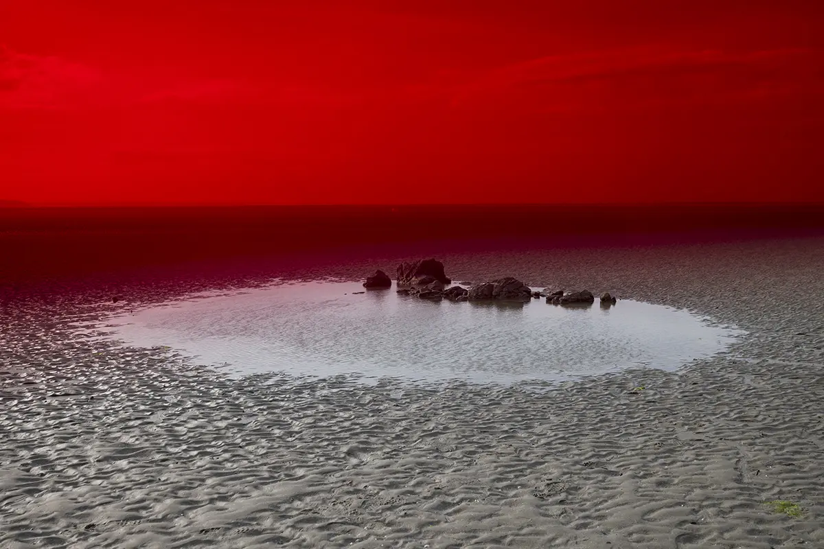 Alice Pallot La Gacilly 2024