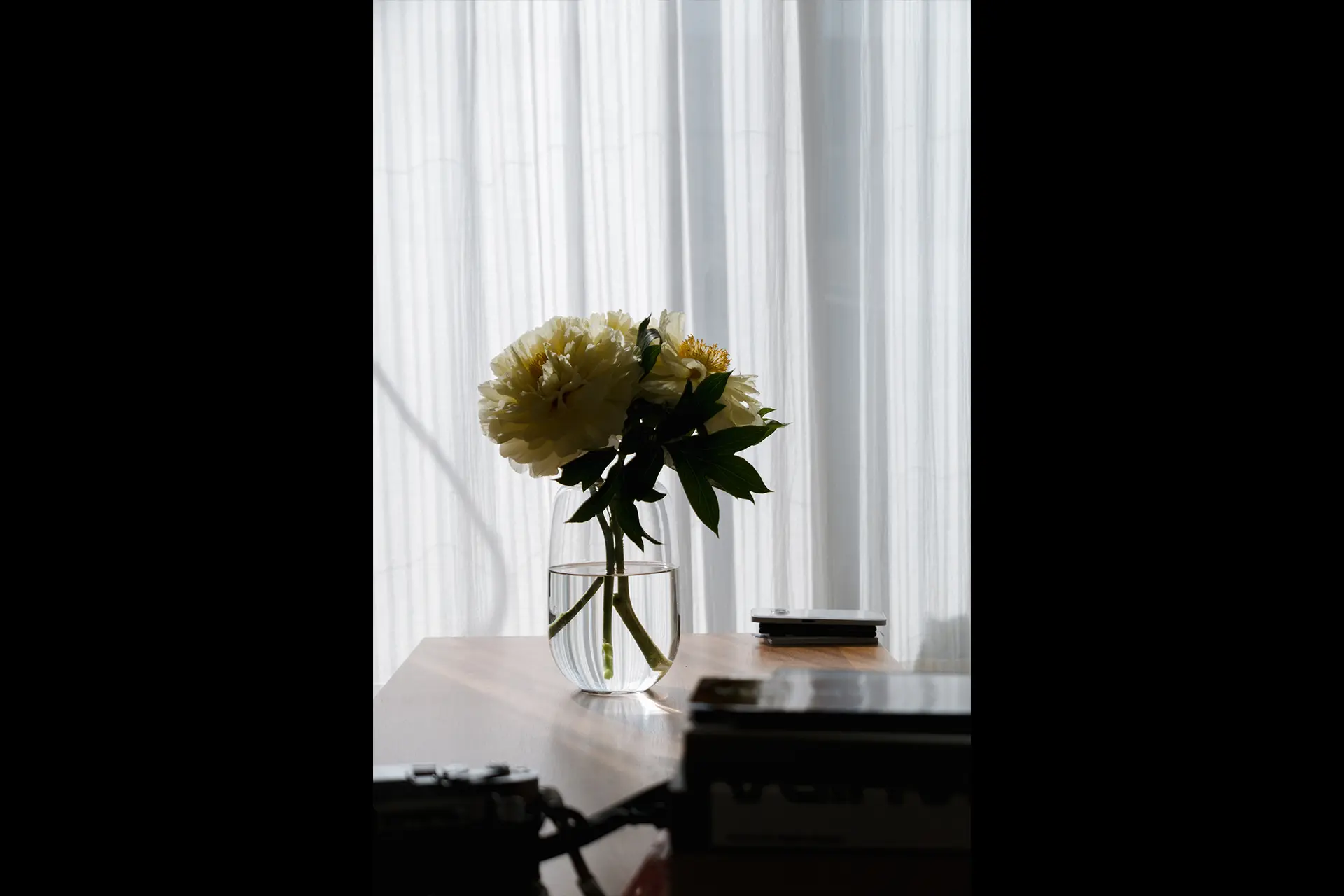 An image taken by Nagisa Ichikawa with the Leica D-Lux 8.