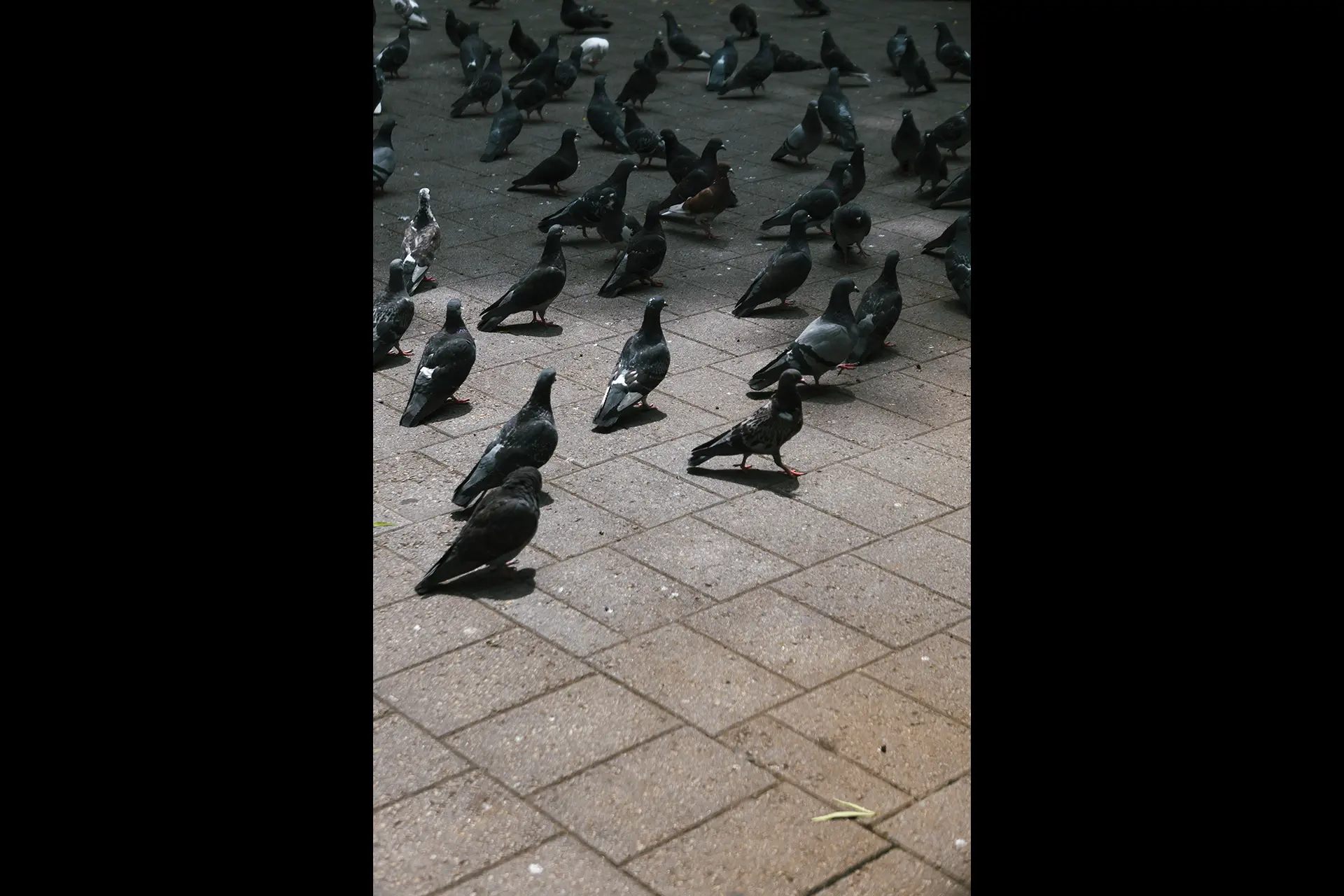 An image taken by Nagisa Ichikawa with the Leica D-Lux 8.